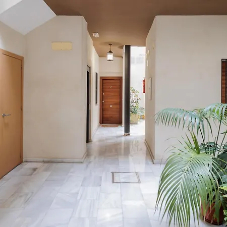 Don Fadrique Macarena *